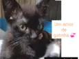 BIBELÔ