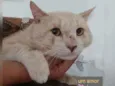 SOL