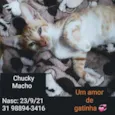 CHUCKY