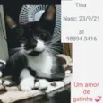 TINA