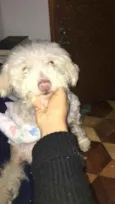 Olaf