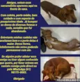 Você escolhe