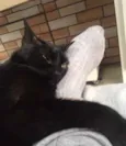 Nina
