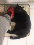 Nina