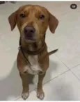 Você escolhe