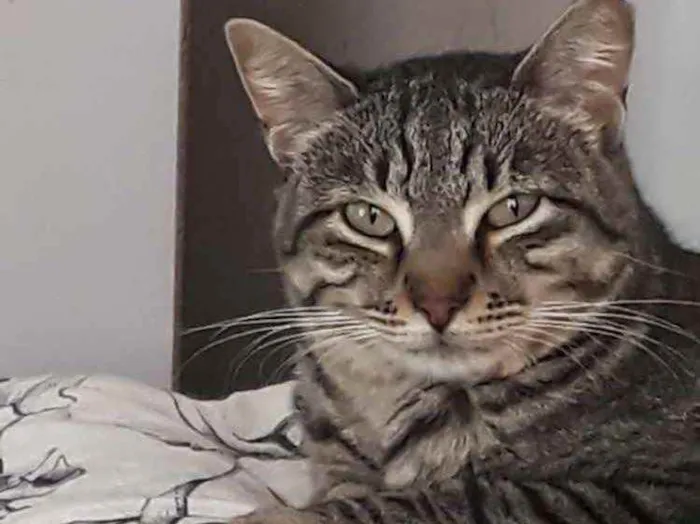 Giorgio Armani lindo