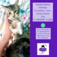 Manu linda