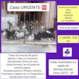 Gatinhos urgente
