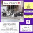 Gatinhos urgente
