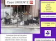 Gatinhos urgente