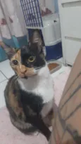 TRICOLOR