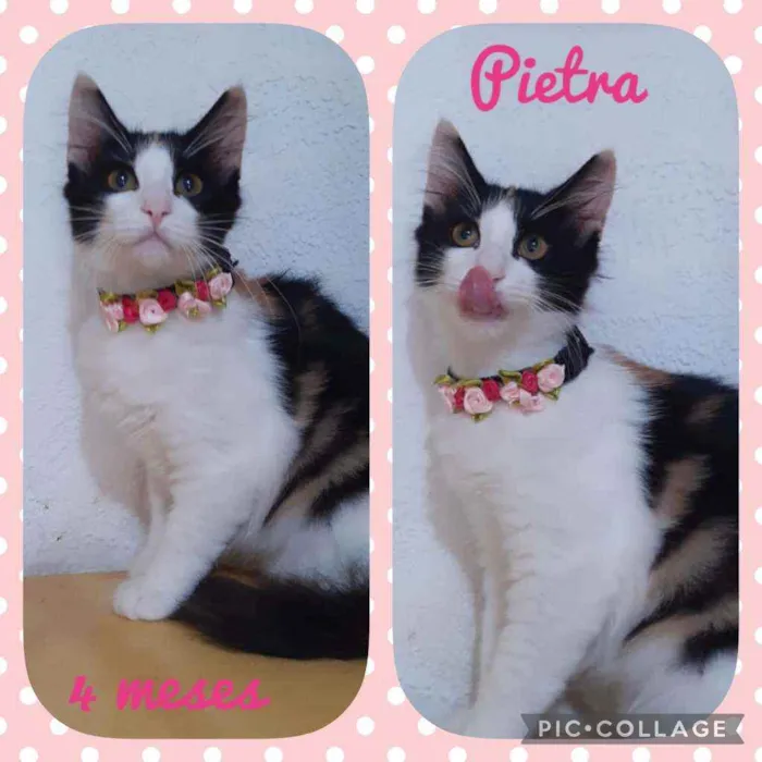 Pietra 