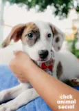 Milka