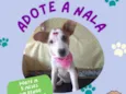Nala