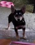 Minnie