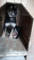 Minnie