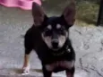 Minnie