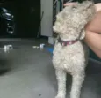 Não sei