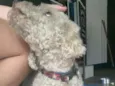 Não sei
