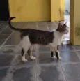 Bob