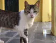 Bob