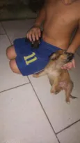 Peludinho/ magrelo