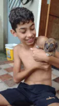 Rabicò