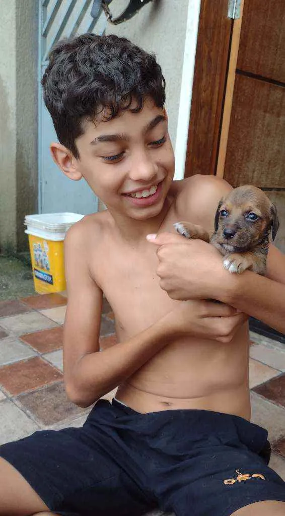 Cachorro raça SRD idade Abaixo de 2 meses nome Rabicò
