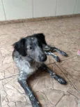 Bella