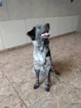 Bella