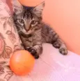 Anita