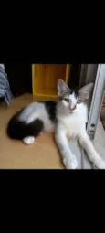 Natan