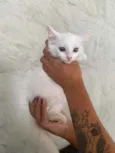 Nina