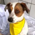 Billy