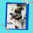Billy