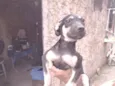 Gerald