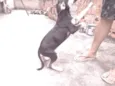 Gerald