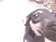 Gerald