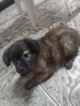 Ted