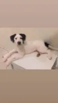 Luck
