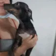 Não tem