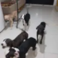 Não tem