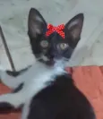 Nina 