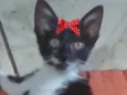 Nina 