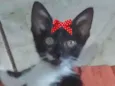 Nina 