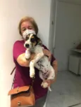 Cachorro raça SRD idade 2 a 6 meses nome Estrela