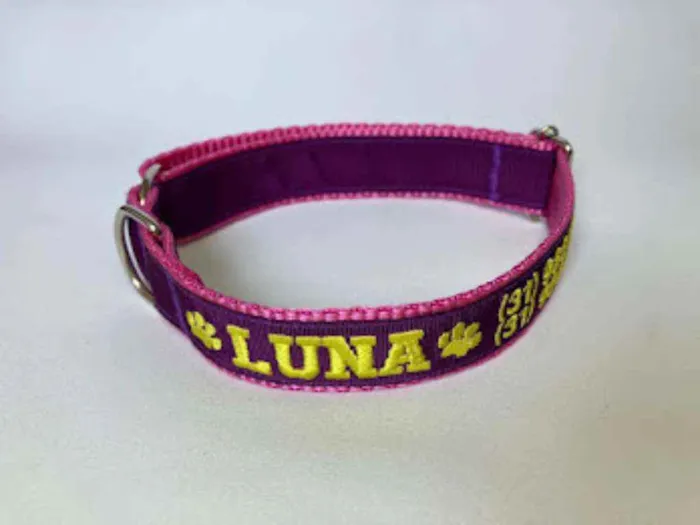 Cachorro raça SRD idade 6 ou mais anos nome Luna