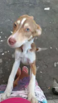 Kiara