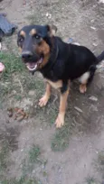 Kiara