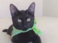 Natan